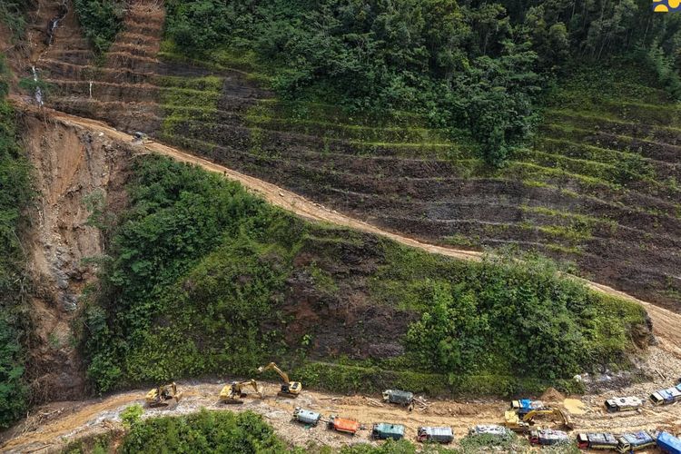 Gubernur Papua Kolaborasi Pembangunan Berkelanjutan Untuk Jaga Hutan