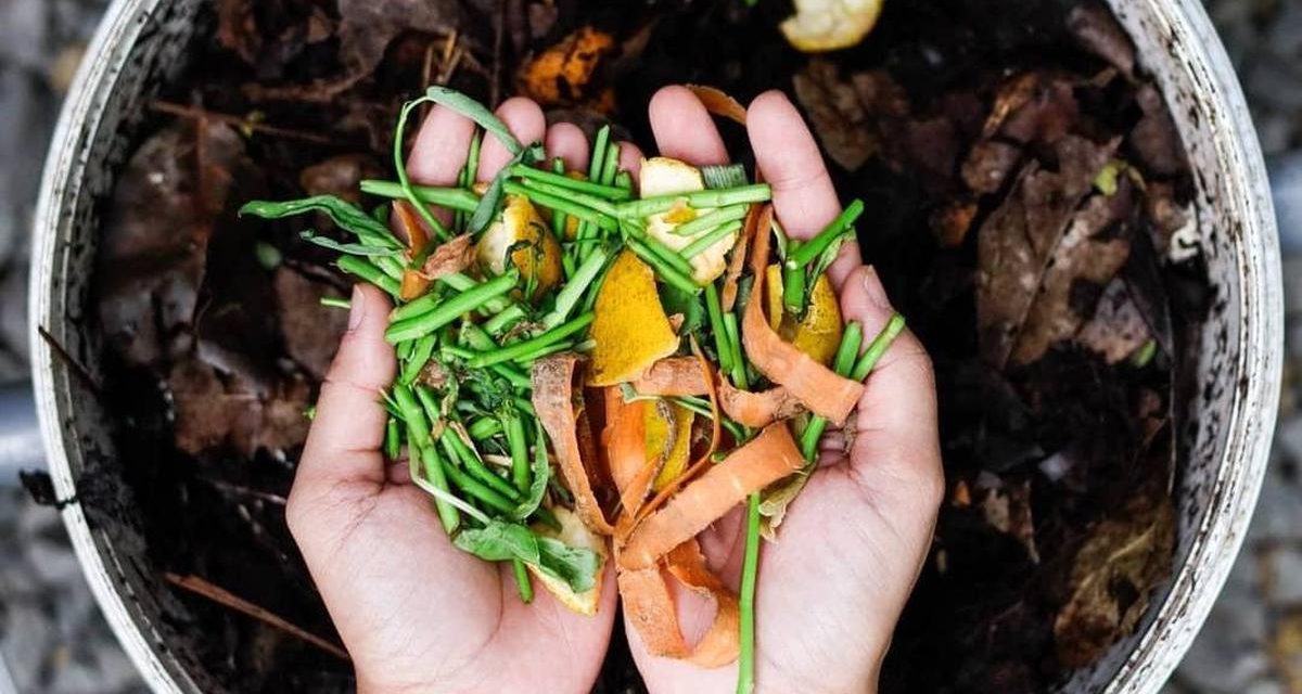 Manfaat Pupuk Alami Bagi Tanaman Dan Lingkungan