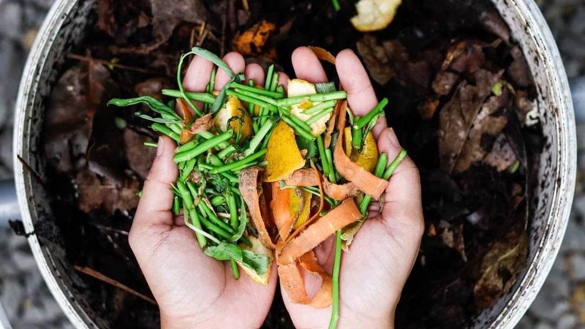 Manfaat Pupuk Alami Bagi Tanaman Dan Lingkungan