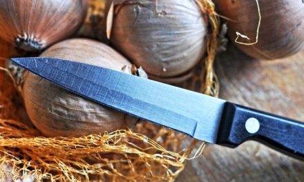 Tips Merawat Pisau Agar Tetap Tajam Dan Awet