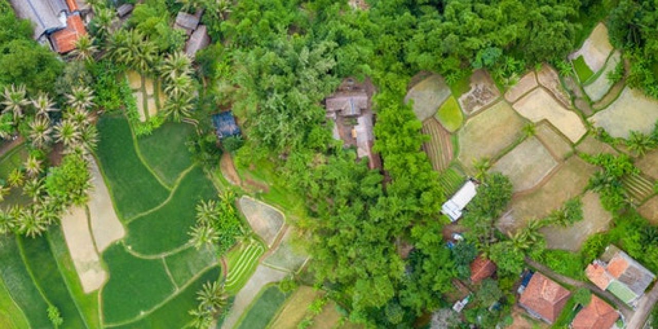 Peluang Bisnis Wisata Lokal Yang Menguntungkan Di Tahun 2026