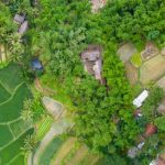 Peluang Bisnis Wisata Lokal Yang Menguntungkan Di Tahun 2026