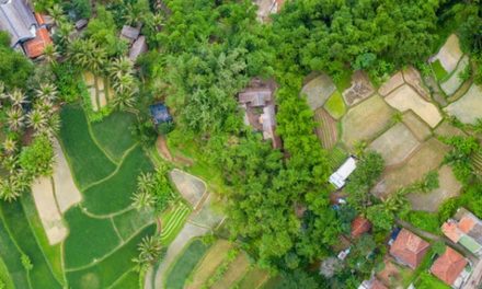 Peluang Bisnis Wisata Lokal Yang Menguntungkan Di Tahun 2026