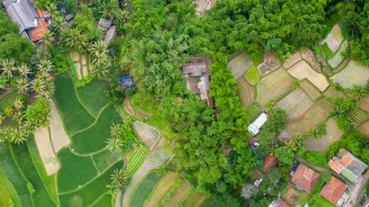 Peluang Bisnis Wisata Lokal Yang Menguntungkan Di Tahun 2026