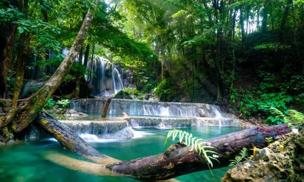 Keindahan Alam Indonesia Buat Wisatawan Mancanegara Terpikat