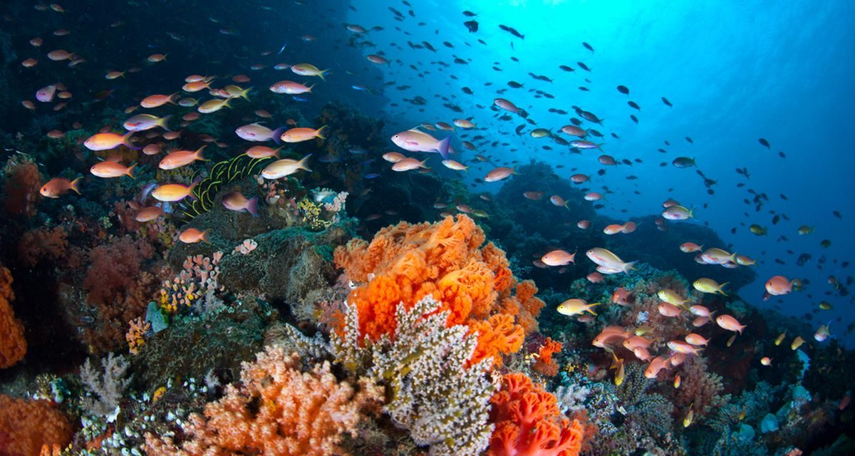 Air Laut: Kandungan, Manfaat, Dan Tantangan Pelestariannya