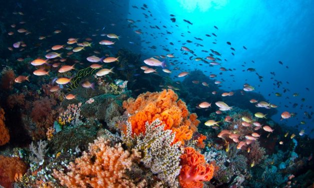 Air Laut: Kandungan, Manfaat, Dan Tantangan Pelestariannya