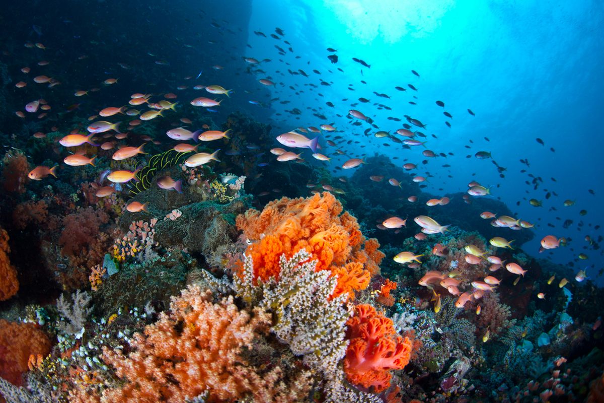 Air Laut: Kandungan, Manfaat, Dan Tantangan Pelestariannya