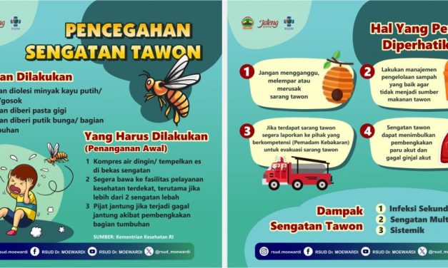 Mengenal Tawon: Jenis, Manfaat, Dan Cara Menghindari Sengatan