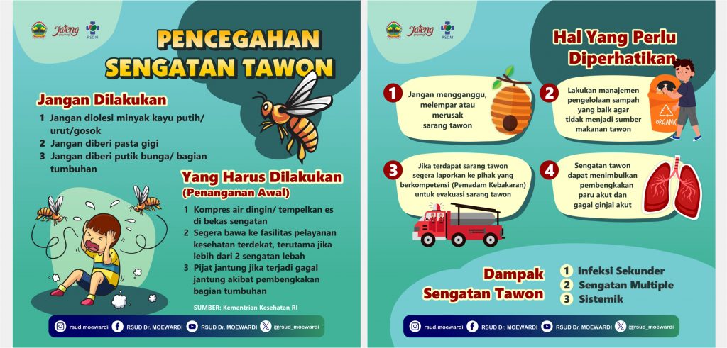 Mengenal Tawon: Jenis, Manfaat, Dan Cara Menghindari Sengatan