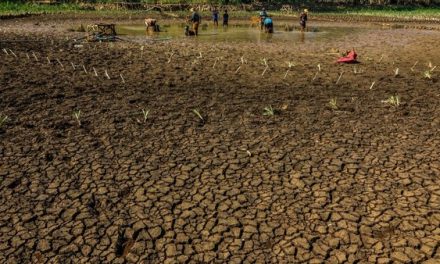 Kekeringan Berkepanjangan: Daerah Persiapkan Cadangan Air