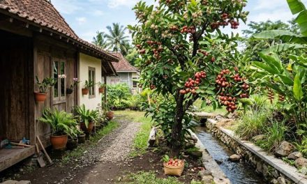 Pohon Buah: Memilih Jenis Tanaman Sesuai Kondisi Rumah