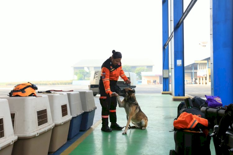 Operasi Bencana: Mempercepat Evakuasi, Pengiriman Bantuan